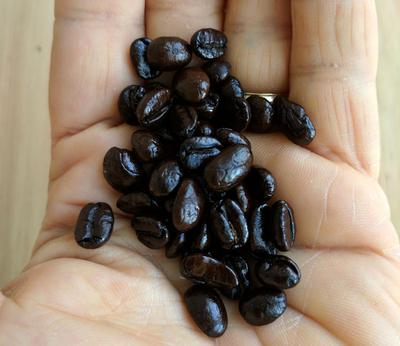 Dark roasted coffee beans with an oily surface