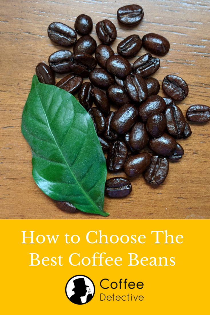 Roasted gourmet coffee beans with a leaf from a coffee tree