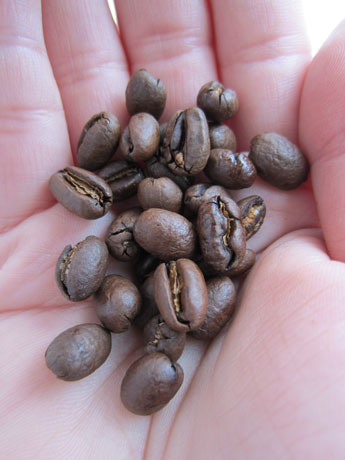 Caffeine in coffee beans