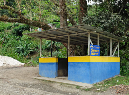 A coffee depot in Jamaica's Blue Mountains, where farmers bring their coffee to be taken for processing.