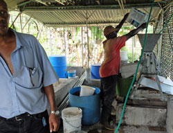 Processing coffee cherries