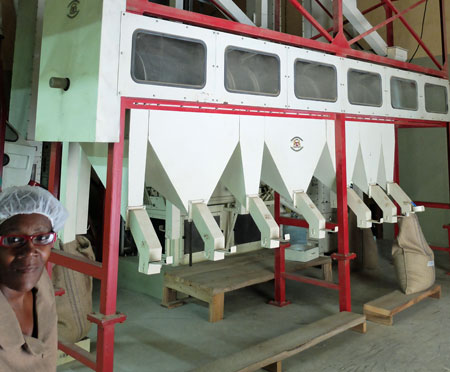 A coffee grader, which separated coffee beans by size.