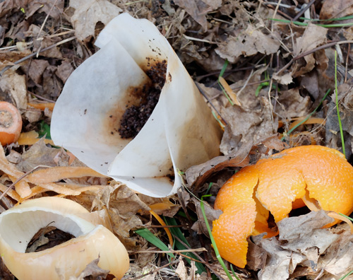 Coffee in compost.