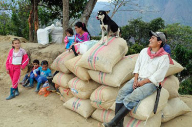 Colombian Gourmet Coffee From Good To Excellent