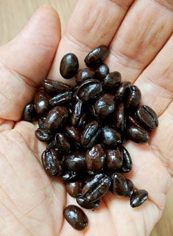 dark roasted coffee beans