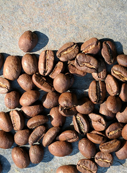 Light-roasted Peru Cenfrocafe coffee beans.