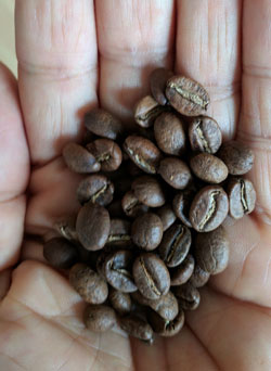 Light roast Colombia coffee beans