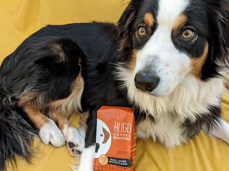 Coffee in support of dog rescue