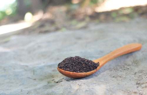 Ground coffee in spoon