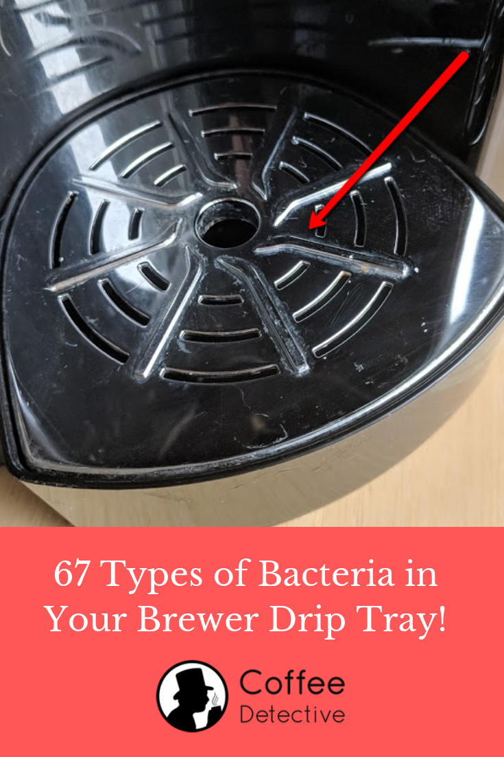 67 types of bacteria in your coffee maker drip tray