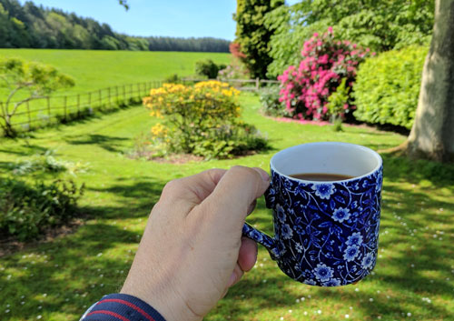 Coffee in the garden.