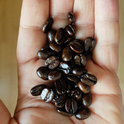 Dark roast coffee beans