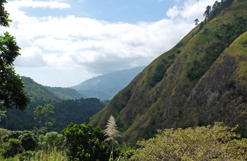 Jamaica's Blue Mountains