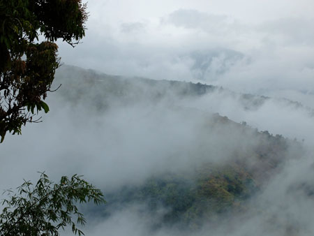 Mist and cloud in Jamaica's Blue Mountains