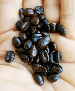 Quality coffee beans