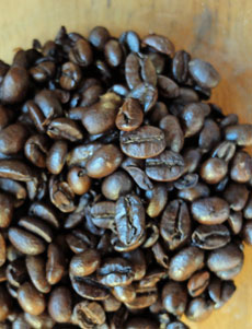 Jamaica Blue Mountain Blend coffee beans.